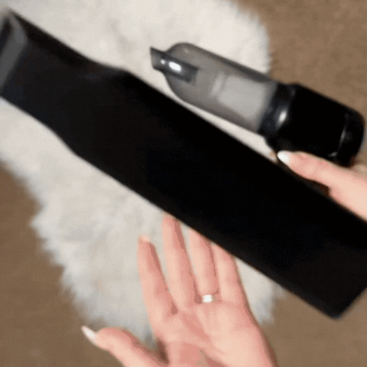 EvoClean Pro ASPIRADORA PORTATIL